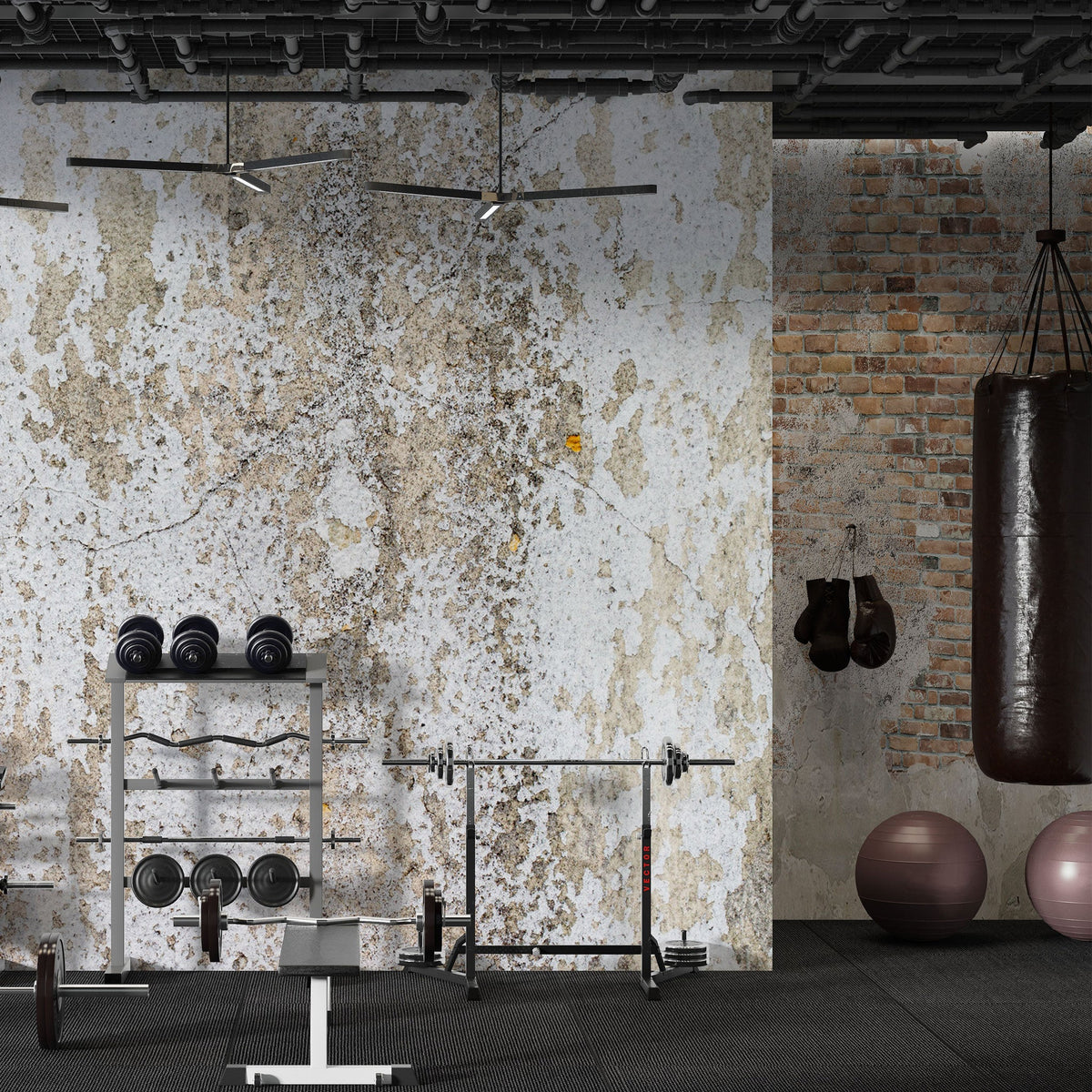 Gym & Fitness Wallpaper