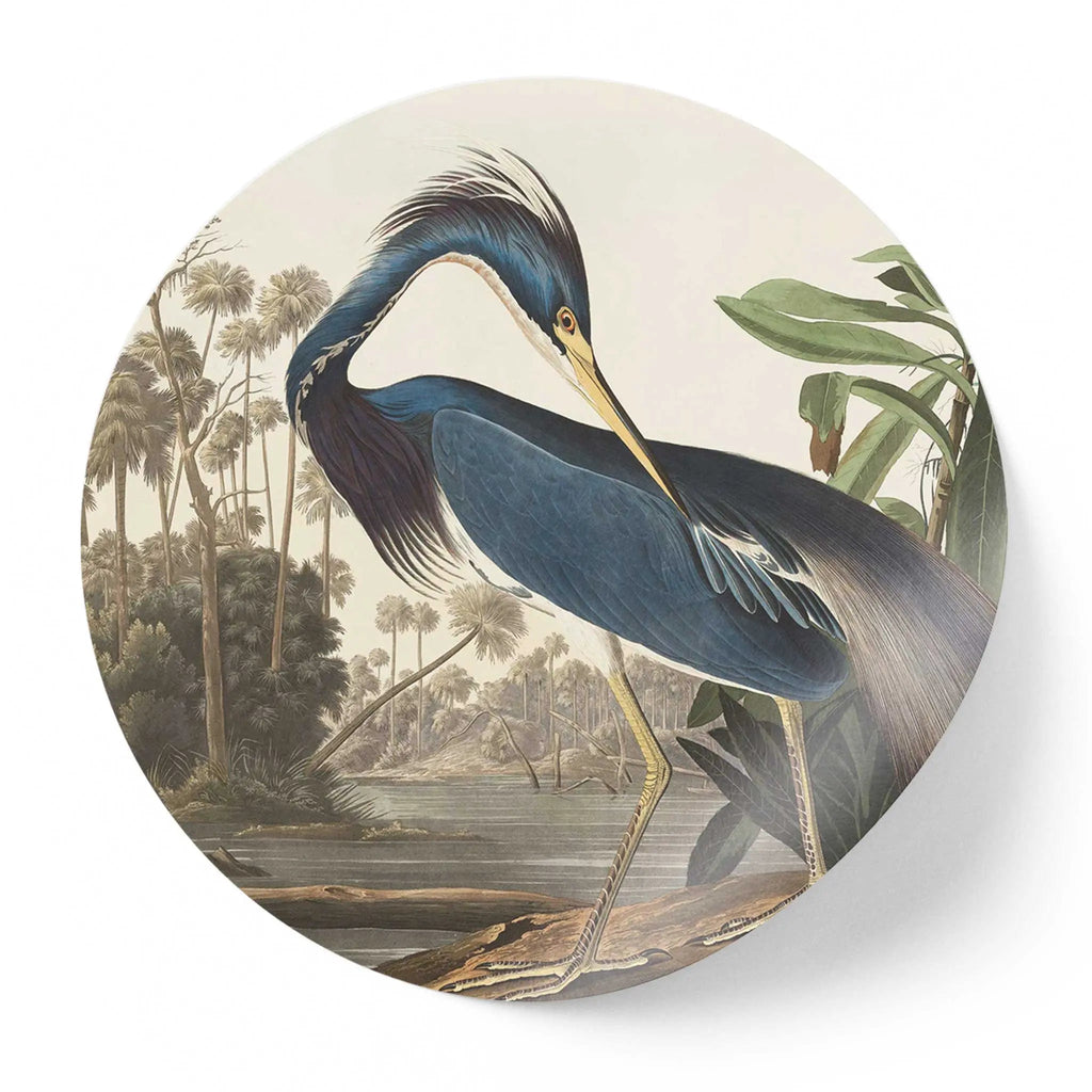 Sticker perete rotund cu starcul din louisiana operta de arta james audubon louisiana heron