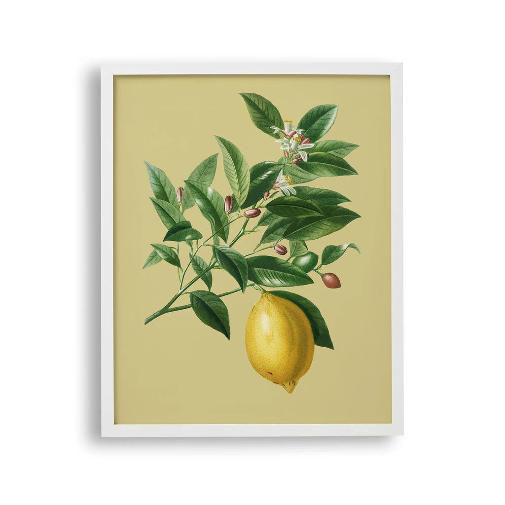 Tablou cu rama ce ilustreaza o creanga de lamai desenata pe un fundal galben cu o singura lamaie atarnand de ea vintage lemon