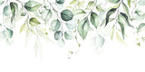 Fototapet personalizat watercolor cu frunze verzi pe fundal alb aesthetic leaves