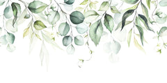 Fototapet personalizat watercolor cu frunze verzi pe fundal alb aesthetic leaves