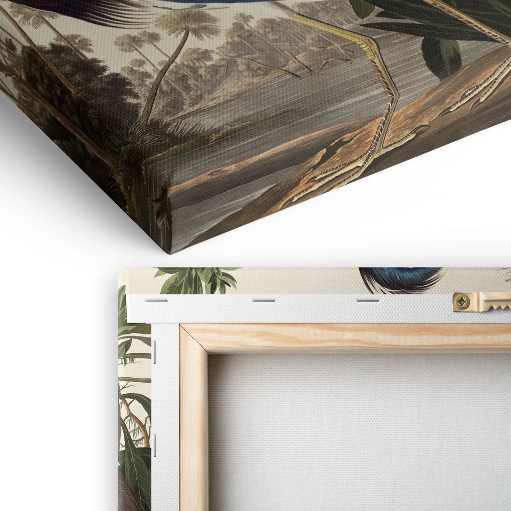 Tablou canvas cu starcul din louisiana opera de arta james audubon louisiana heron