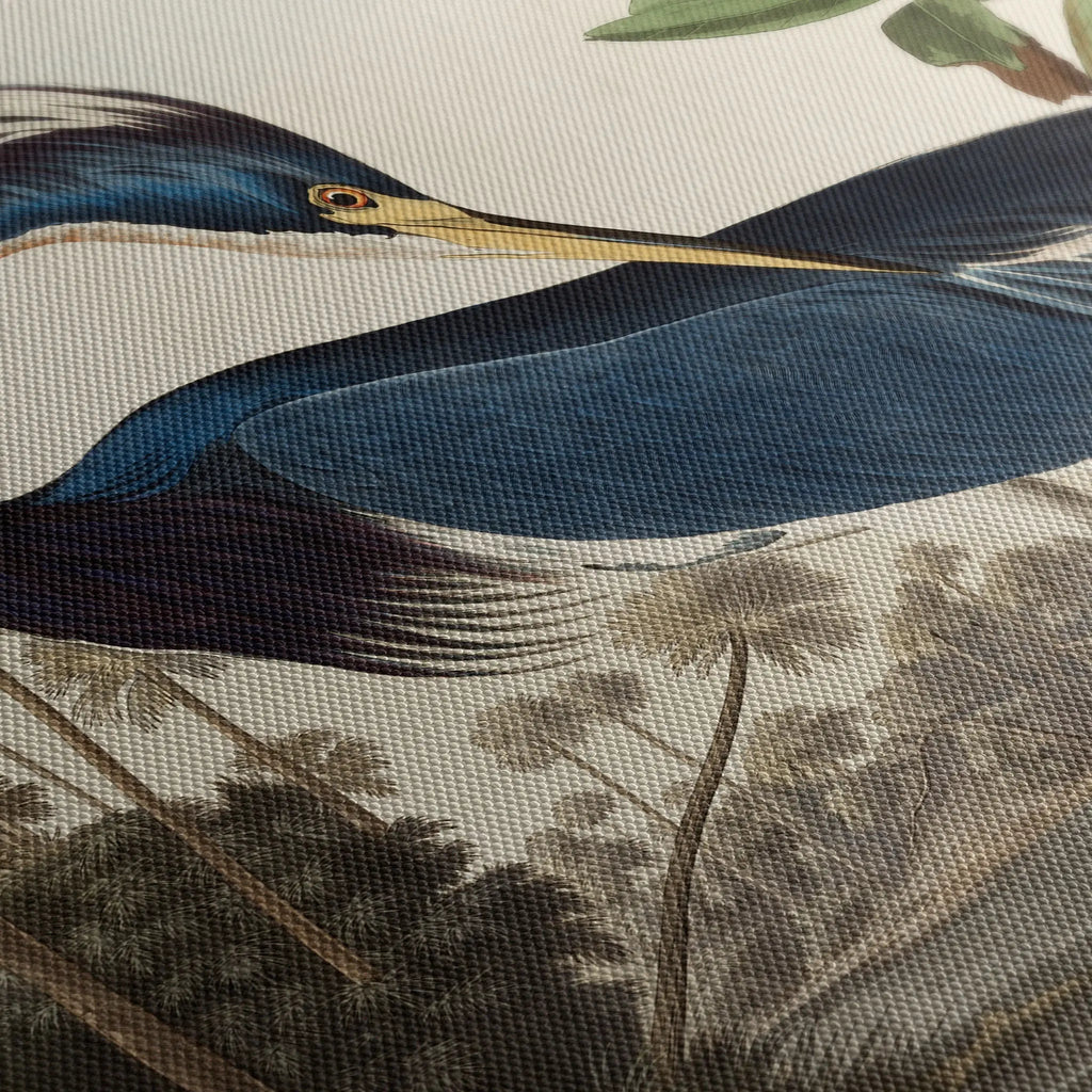 Tablou canvas cu starcul din louisiana opera de arta james audubon louisiana heron