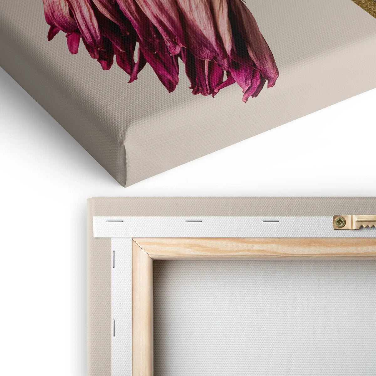 Tablou canvas ce ilustreaza o floare vintage roz retro flower