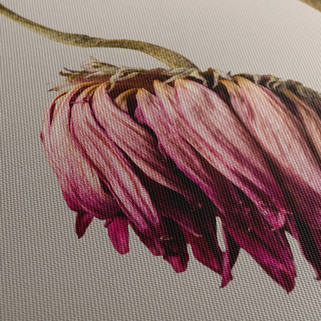 Tablou canvas ce ilustreaza o floare vintage roz retro flower