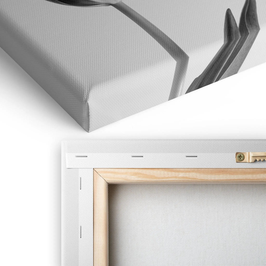 Tablou canvas ce prezinta o lalea alb negru soft tulip