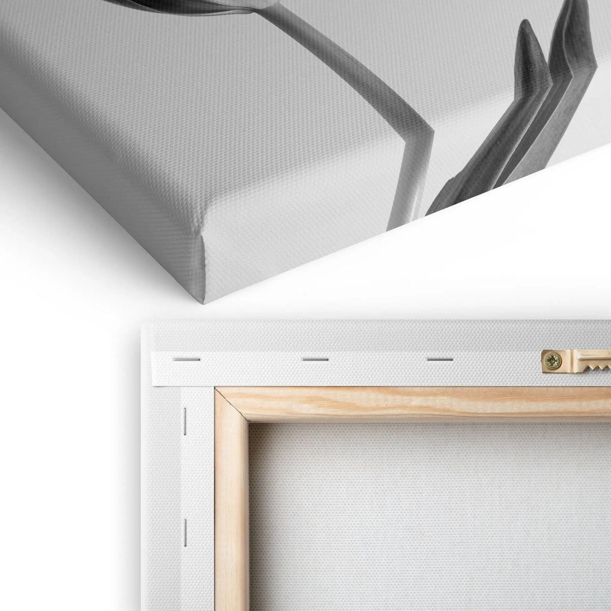 Tablou canvas ce prezinta o lalea alb negru soft tulip