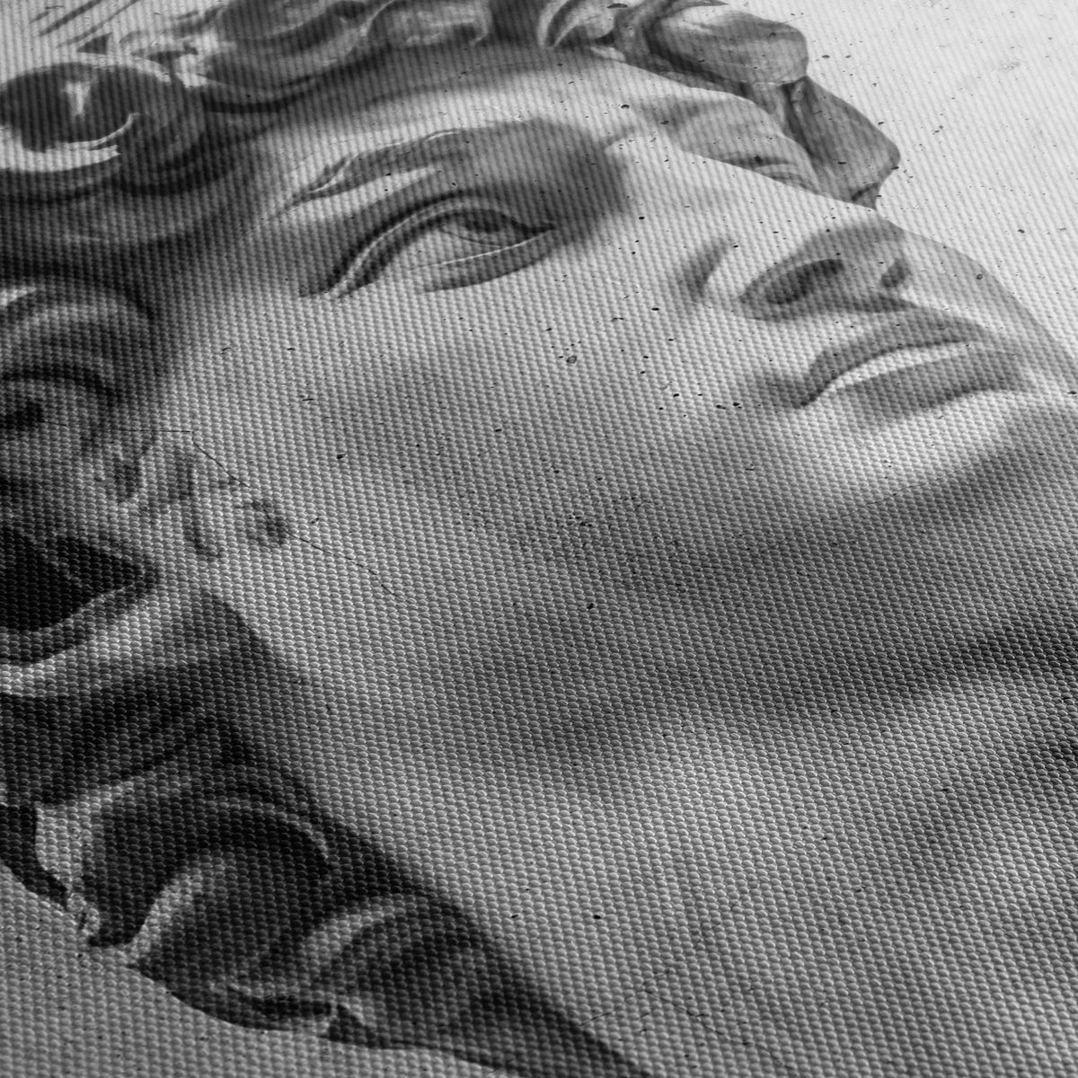 Tablou canvas care il infatiseaza pe eroul biblic david care este renumit pentru victoria sa asupra uriasului goliat the david statue