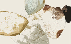 Tapet personalizat abstract cu forme de petale abstracte coffee petals