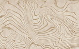 Tapet personalizat abstract cu forma abstracta in nuante de bej moving sands
