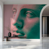 Tapet Personalizat Fine Art cu sculptura de ipsos in inflarosu - GYPSUM SCULPTURE