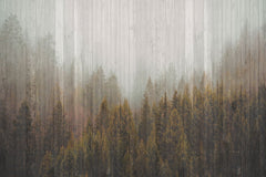 Tapet personalizat forest cu un model de copaci stilizati ce aminteste de textura lemnului oferind un aspect natural si modern wood plank forest