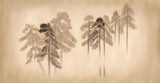 Tapet personalizat forest cu un design simplificat cu brazi stilizati inspirand un aspect curat si contemporan stamp pine trees