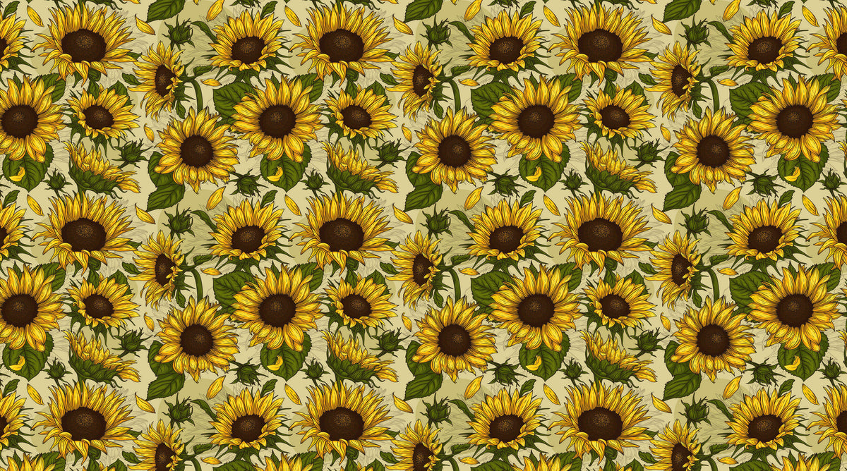 Sunflower Field Personalised Wallpaper