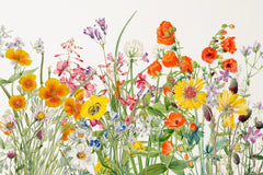 Tapet personalizat floral cu flori in culori vivide pe un fundal alb vivid field flowers