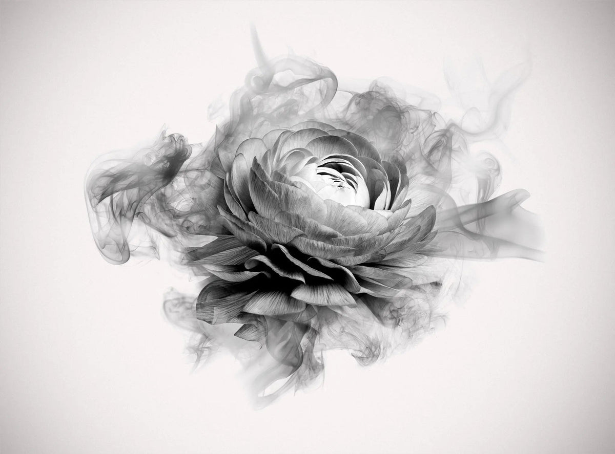 Tapet personalizat floral cu bujor in alb negru fumuriu smokey peony