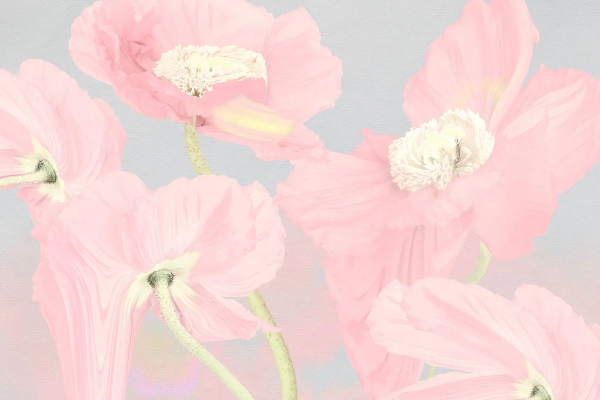 Tapet personalizat floral cu flori de mac roz pastel pe un fundal gri pink poppy