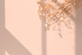 Fototapet Personalizat Floral cu floarea miresei stralucitoare si fundal roz de apus - SHINY GYPSOPHILA