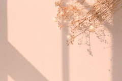 Fototapet Personalizat Floral cu floarea miresei stralucitoare si fundal roz de apus - SHINY GYPSOPHILA