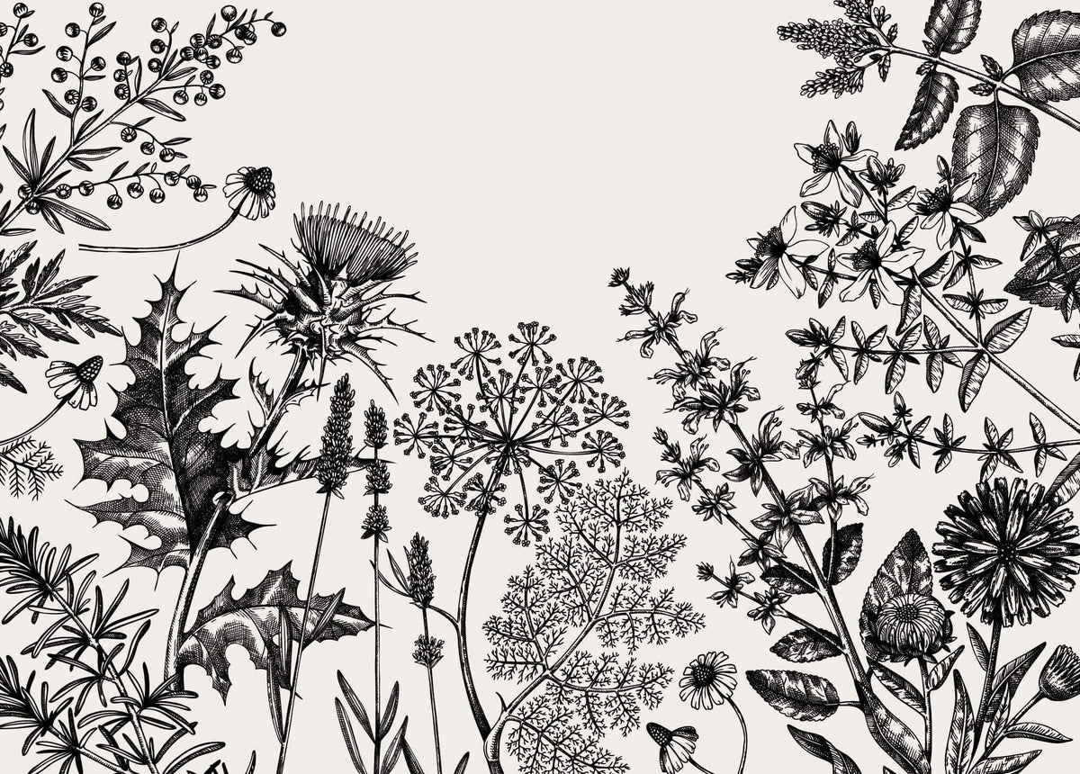 Tapet Personalizat Floral cu flori de camp desenate - MINIMALIST BLACK FLORAL