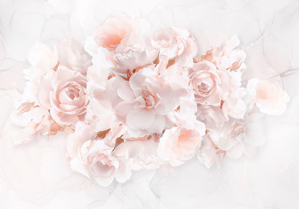 Fototapet Personalizat Floral cu trandafiri roz - WATERDROP ROSES