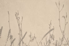 Fototapet Personalizat Floral cu umbre de plante pe un perete in stil plaster - GENTLE SHADOWS