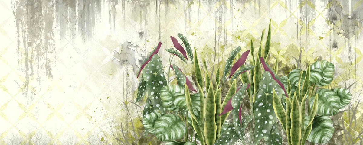 Tapet personalizat leaf cu frunze de begonie si alocasia pe un perete degradat begonia wall