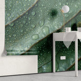Tapet personalizat leaf cu picaturi de apa pe frunze verzi in detaliu water droplets