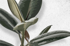 Tapet personalizat leaf cu frunze de ficus elastica in stil digital artwork pe fundal granulat alb ficus elastica