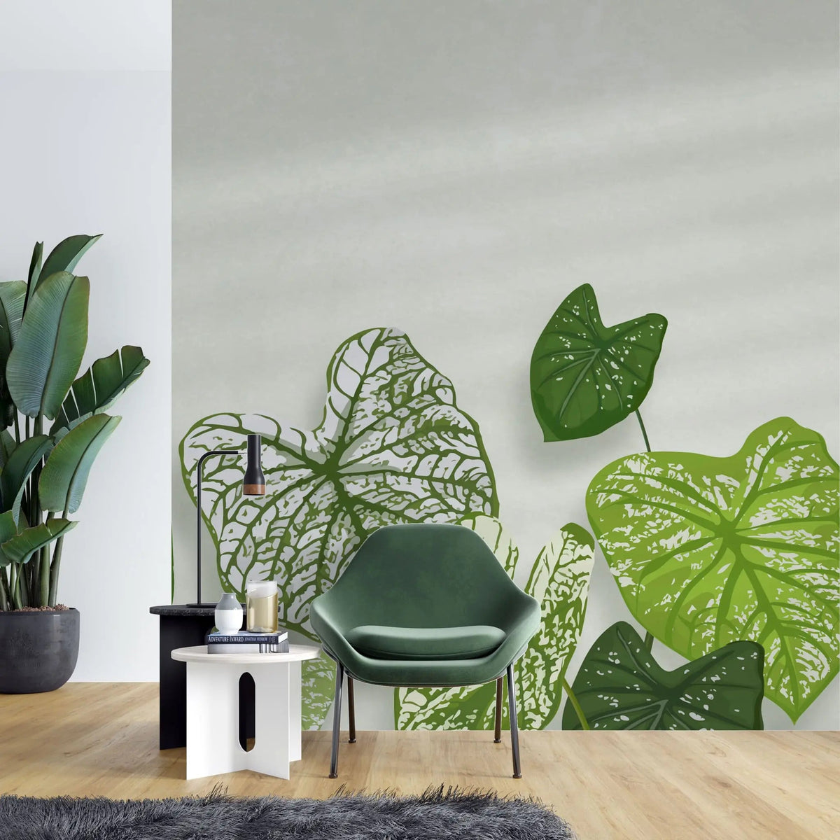 Tapet personalizat leaf cu frunde de caladium bicolor pe un fundal alb cu accente de lumina caladium bicolor