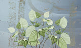 Tapet personalizat leaf cu frunze de philondendron rugosum pe fundal albastru blue wild philodendron