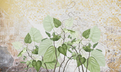 Tapet personalizat leaf cu frunze de philondendron rugosum pe fundal de gresie wild tile rugosum