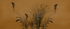 Tapet personalizat leaf cu frunze cu un design minimalist infatisand pasari stilizate printre fire de trestie pe un fundal maro inchis creand o imagine eleganta bird reed dark