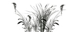 Tapet personalizat leaf cu pasari si trestie in siluete negre pe un fundal alb pur pentru un contrast modern si un aspect artistic bird reed white