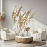 Tapet Personalizat Leaf cu trestie de camp pe fundal alb - MINIMALIST REEDS