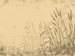 Tapet Personalizat Leaf cu frunze si plante de camp abstracte in nuante de bej si crem 1 - SKETCHY REEDS