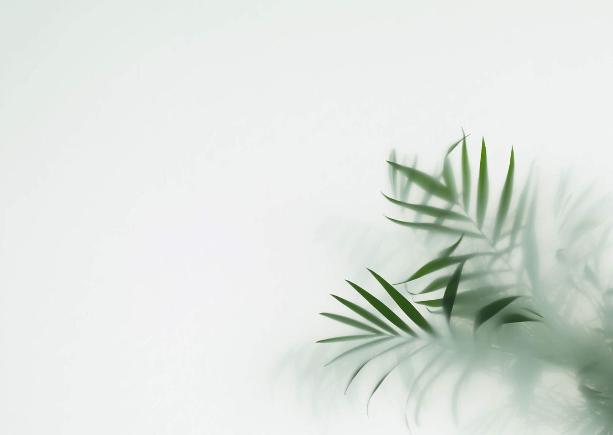 Tapet Personalizat Leaf cu frunze verzi cu fundal estompat in ceata - GLASS LEAVES III