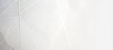 Fototapet Personalizat Leaf cu frunza decorativa alba cu fundal estompat - THIN WHITE LEAF