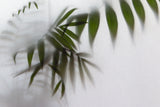 Tapet Personalizat Leaf cu frunze de palmier in spatele perdelei - BEHIND THE DRAPES
