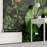 Fototapet Personalizat Leaf cu frunze verzi de caladium intr-un cadru intunecat in natura - EVERGREEN CALADIUM