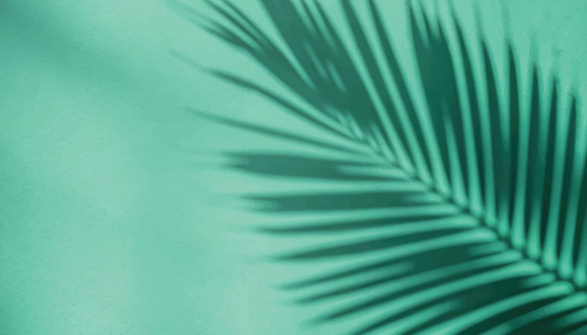 Tapet Personalizat Leaf cu umbra de frunza de palmier pe un fundal verde marin - MINTY PALM
