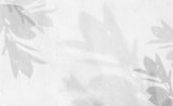 Tapet Personalizat Leaf cu umbre de frunze pe un perete alb texturat - STUCCO SHADOWS