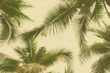 Tapet tropical personalizat cu frunze tropicale de palmieri majestic verzi pe fundal cald insorit golden hour