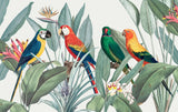Tapet tropical personalizat tropical cu papagali exotici colorati planta paradisului flori si frunze tropicale tropical parrots