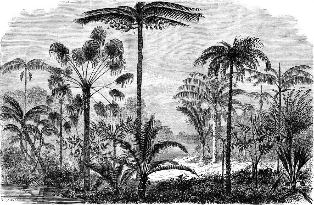 Tapet personalizat Tropical cu peisaj tropical desenat in dungi alb si negru - TROPICAL POSTCARD