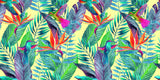 Tapet personalizat Tropical cu pasari si plante verzi - FLASHY TROPICAL
