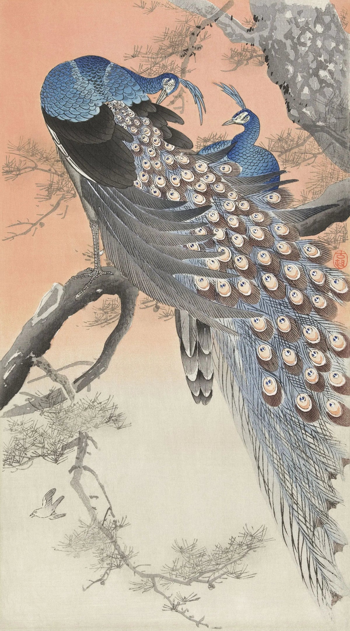 Tapet personalizat oriental cu pauni albastri in copac oriental peacocks