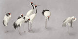 Tapet personalizat zen oriental cu cocori eleganti intr un cadru simplist evocand liniste si puritate misty cranes