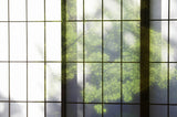 Tapet Zen Oriental cu usi shoji si vegetatie - SHOJI WALL