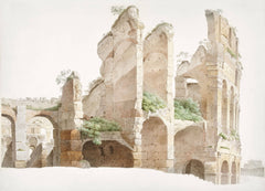 Tapet Personalizat Victorian cu ruine si vegetatie densa - RUINS VEGETATION